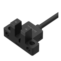 BS5-L1R-P