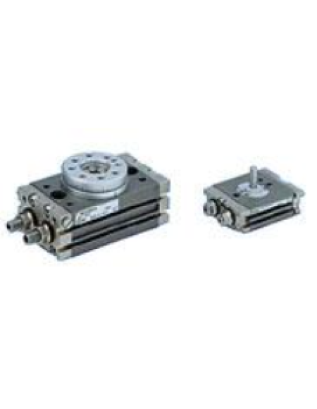Bộ Truyền Động Quay Tốc Độ Thấp CRQ2X / MSQX