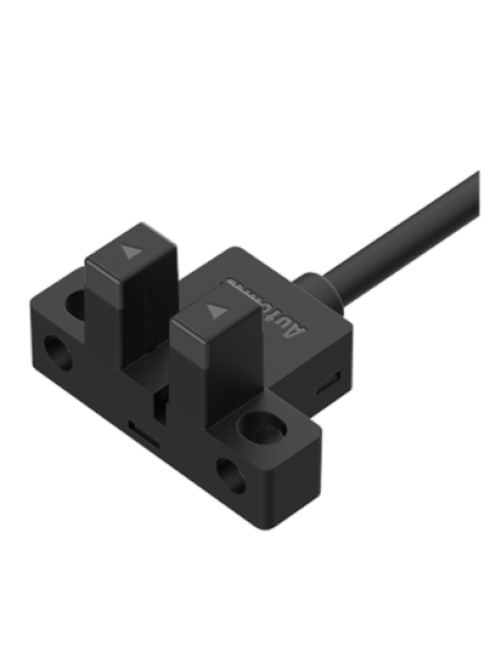 BS5-L1R-P