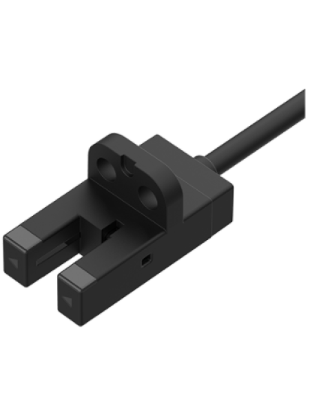 BS5-V1M