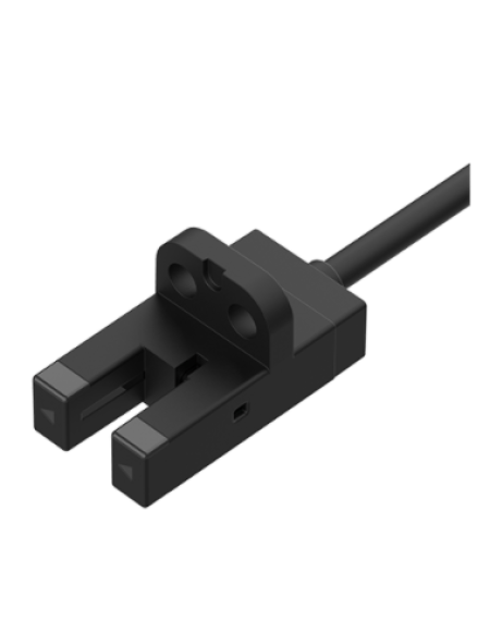 BS5-V1R